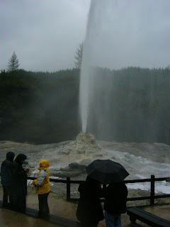 My New Zealand Vacation, Rotorua, Lady Knox Geyser, Photo10532