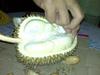 Durian from Pasir Pandak, Borneo