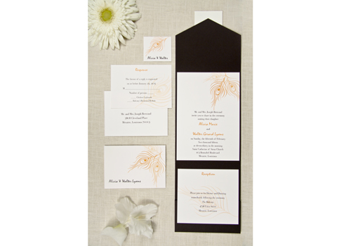 The Purple Mermaid features the finest wedding invitation packes on the