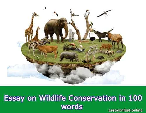 Essay on Wildlife Conservation