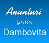  Anunturi Gratis Dambovita 