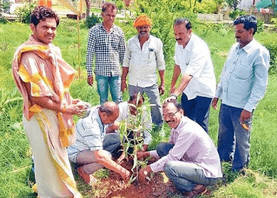 Social Responsibility of Management of Tree Plantation 1