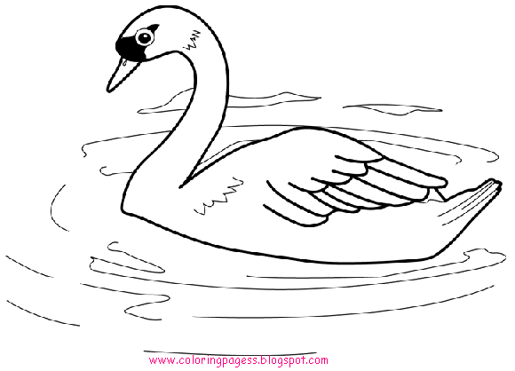 animal coloring pages