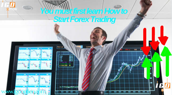 You must first learn How to Start Forex Trading