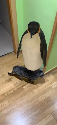 Un pingüino en mi salón