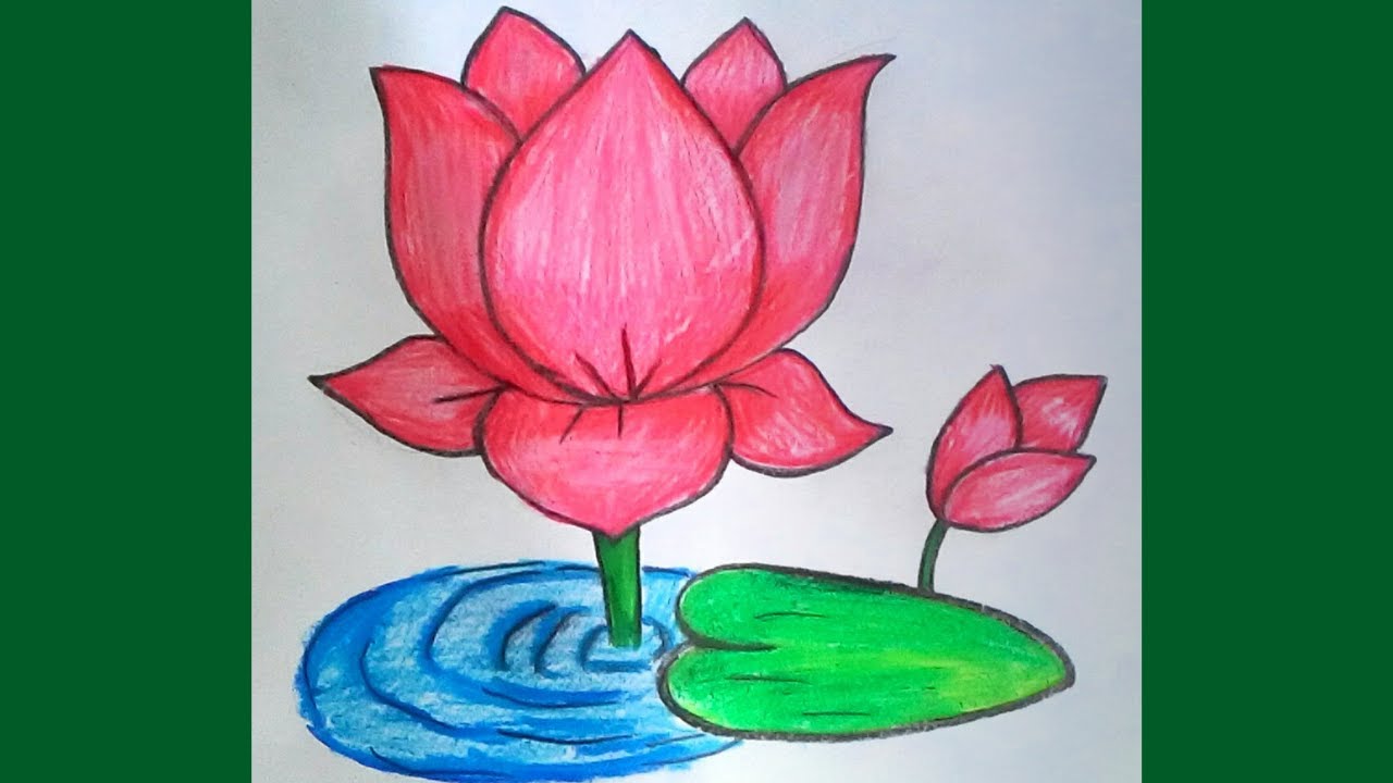 Lotus Flower Drawing - Lotus Flower Pictures, Picture Download - Lotus flower NeotericIT.com