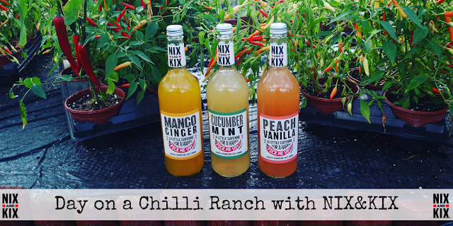 Day on a chilli ranch in Bedfordshire with drinks brand NIX&KIX