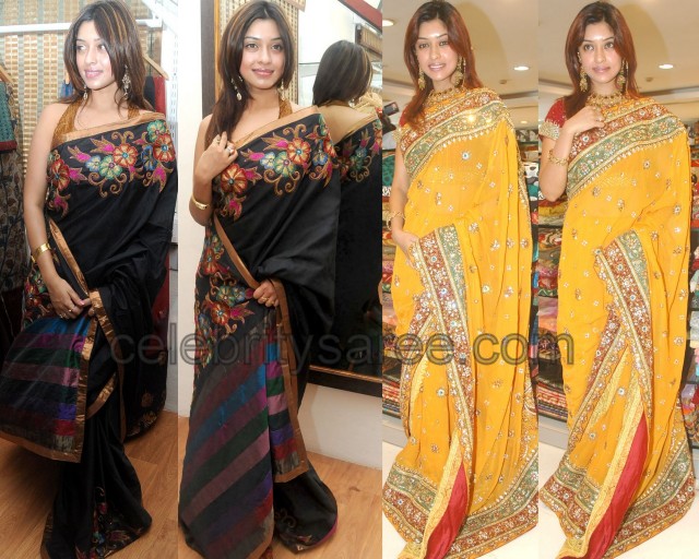 Harika's Designer Sarees