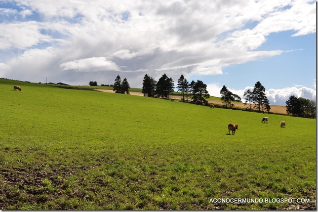 Camino de Elgin a Glenfiddich-DSC_0266