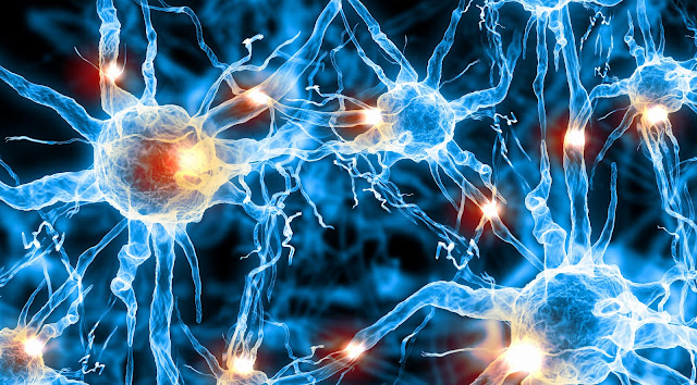 Nerve Repair and Regeneration Market