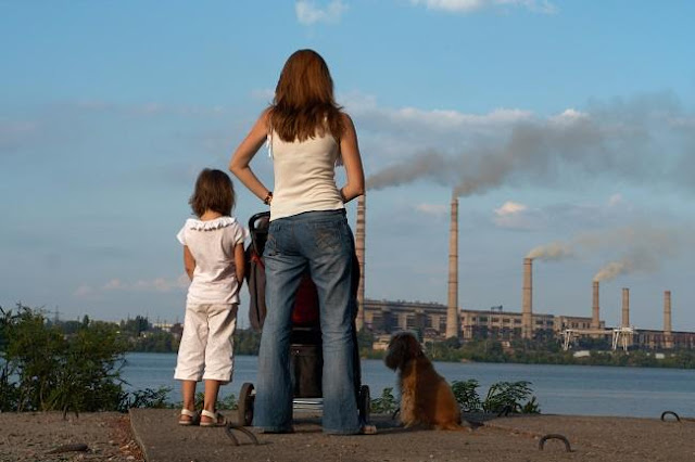 Impact of air pollution on the lungs