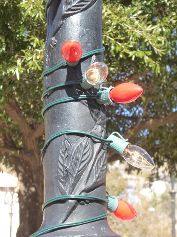 P1180596