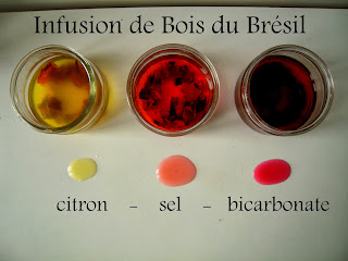 bois du brésil et bicarbonate