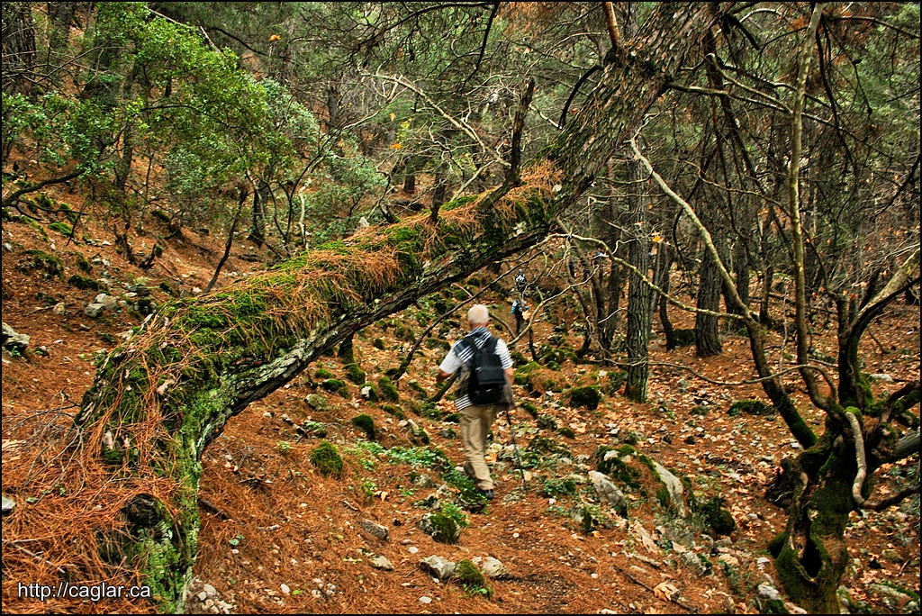 Karanlık kanyon