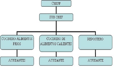 El blog de mi Master: El organigrama de la cocina