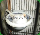 do Norte