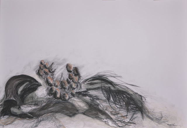 Lindi Venter - Welwitschia I, 2012 