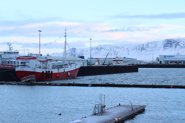 Reykjavik Harbour snow