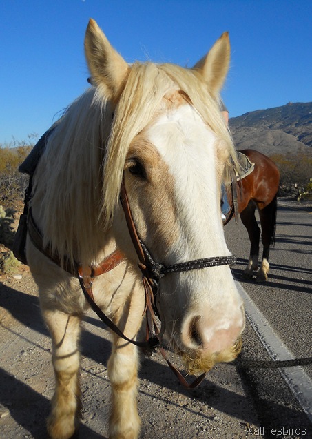 2. santa Horse-kab