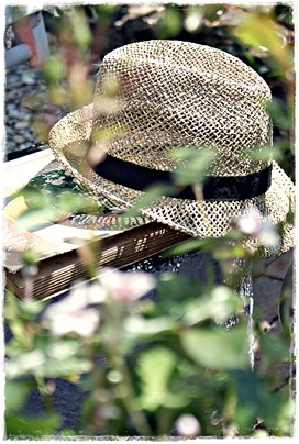 blog 1i