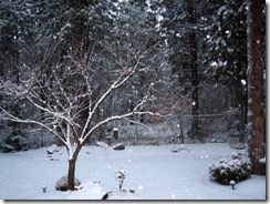 GEG Snow 12-12-2008 3-39-27 PM