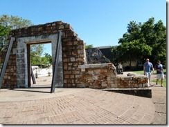 Darwin 025
