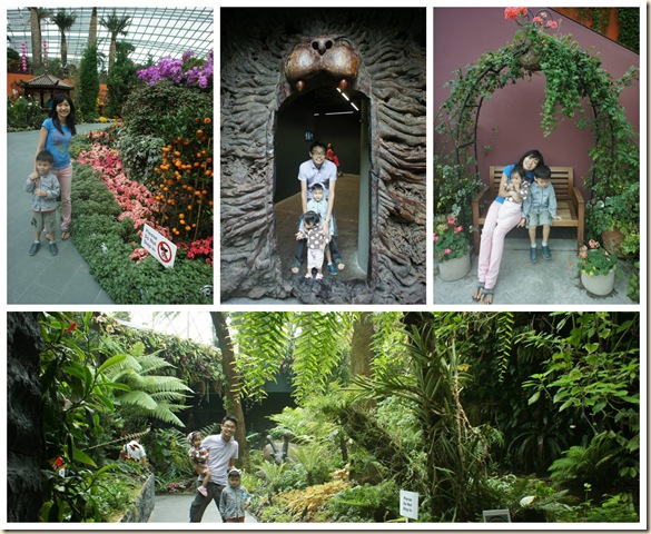 gardens3
