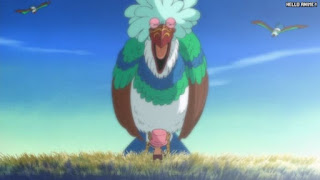 ワンピースアニメ 506話 トリノ王国 | ONE PIECE Episode 506