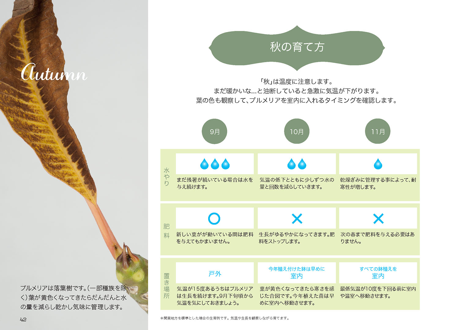 プルメリア 秋の育て方