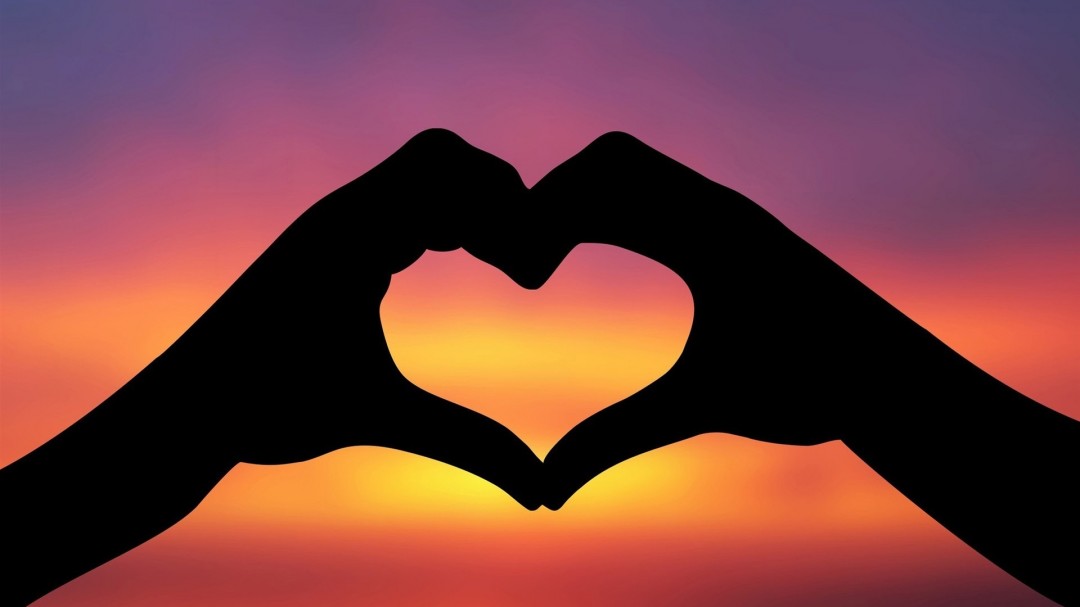 No Love Images Hd Wallpaper Girls Dp