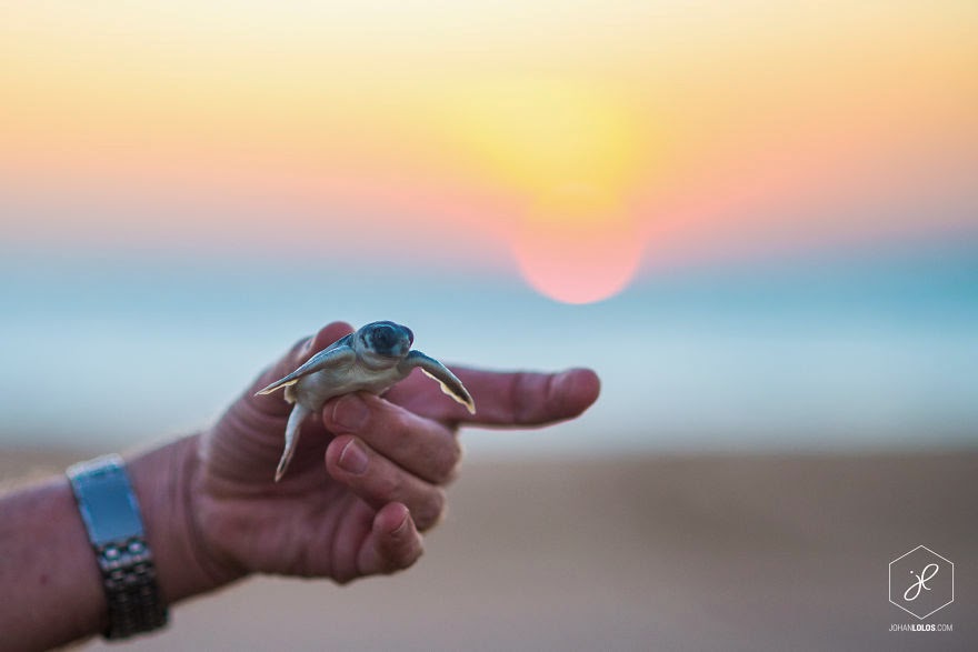 Bare Sand Island, NT - Man Travels 40,000km Around Australia and Brings Back These Stunning Photos