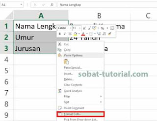 Cara Membuat Titik Dua Sejajar di Excel