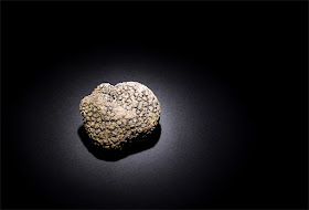 Black truffle focus