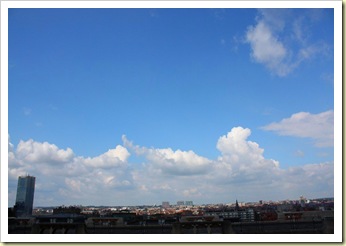 IMG_3594_1024x682