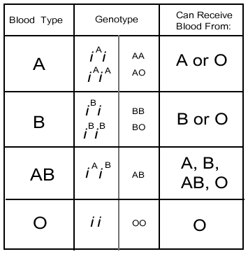 252b-255, Genetic Disorders