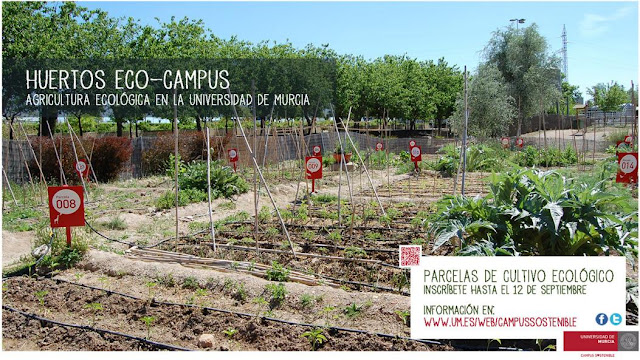 Huertos Eco Campus