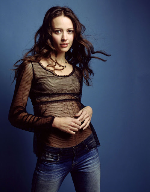 Amy Acker HD Wallpapers Free Download