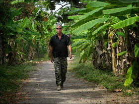 Anthony Bourdain: No Reservations - Thailand - Tony takes a stroll amongst giant banana leaves in Thailand