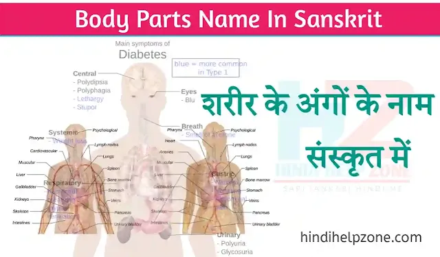 Body Parts Name In Sanskrit | शरीर के अंगों के नाम संस्कृत में