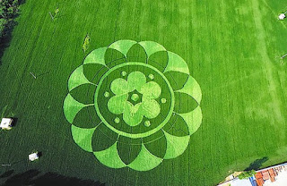 INCREIBLE CIRCULO APARECE EN CAMPO DE TRIGO EN CHINA