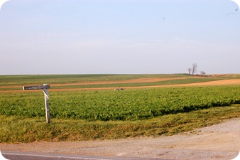 field