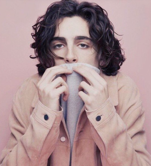 Timothee Chalamet and Taylor Russell play cannibals in love