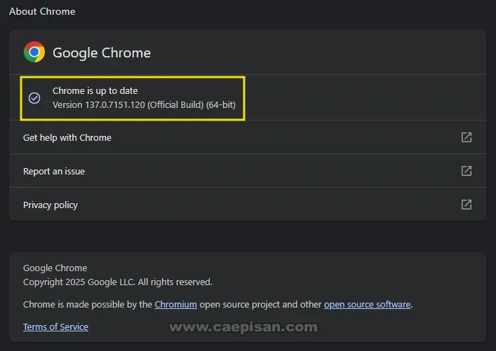 Update Google Chrome