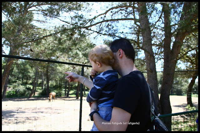 premier zoo Petit Lou