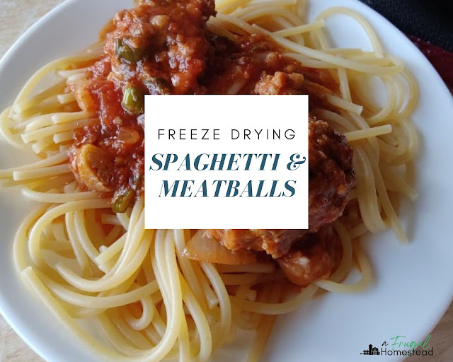 freeze drying spaghetti