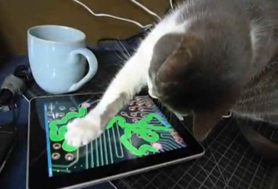 cat and technology