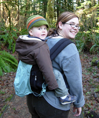 in the carrier