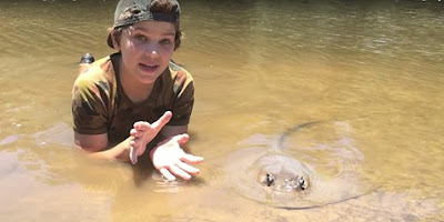 HEBAT, BOCAH INI BANTU IKAN PARI LAHIRKAN 12 BAYI!