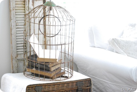 Bird Cage 1 025