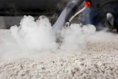 Best Carpet steam cleaning in Montmorency